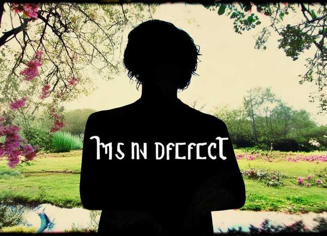 人无完人的经典句子 人无完人的经典句子摘抄