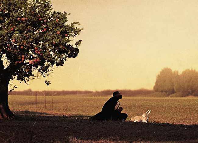 守株待兔的简单故事；守株待兔的简单故事视频