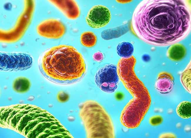 细菌故事视频大全；细菌故事视频大全图片