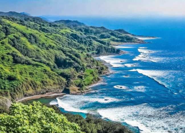 孝的故事现代 孝的故事现代50字