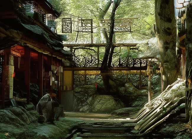 苏武的故事50字、苏武的故事作文500字