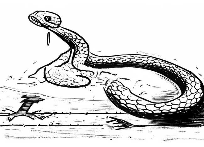 成语故事画蛇添足简笔画（画蛇添足成语故事插图简笔画）