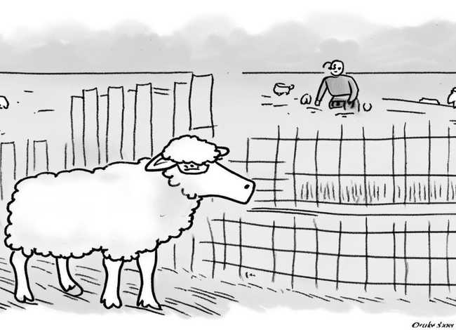 亡羊补牢故事配图简笔画、亡羊补牢故事简笔画图片 亡羊补牢故事配图简笔画、亡羊补牢故事简笔画图片