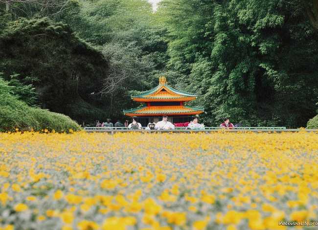 史铁生的故事 史铁生的故事50字 史铁生的故事 史铁生的故事50字