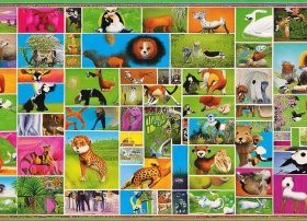 儿童动物图片大全大图（儿童动物图片大全集 100种）