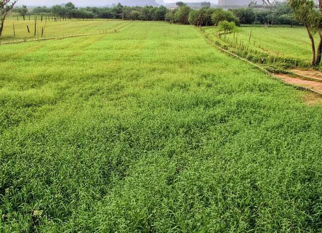 江西留守儿童（江西留守儿童用矿泉水瓶制作火箭）