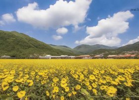 齐白石的故事30字左右；齐白石的故事30字左右作文