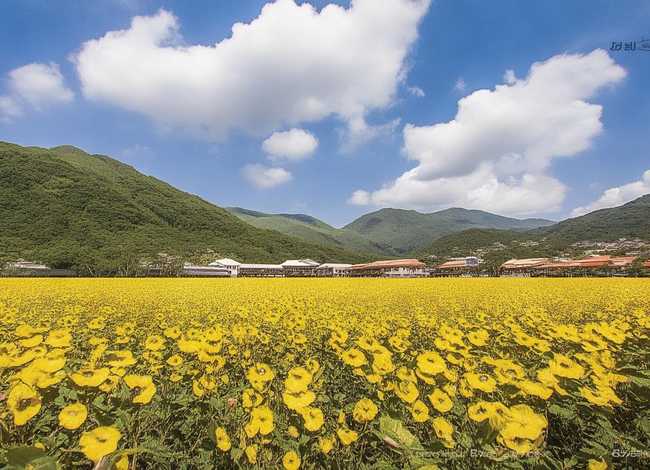 齐白石的故事30字左右;齐白石的故事30字左右作文 齐白石的故事30字左右;齐白石的故事30字左右作文