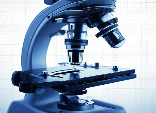 光学显微镜结构图，单筒光学显微镜结构图