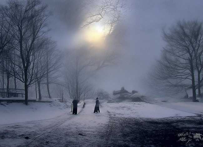 伊朗幼童事件后续走向 伊朗 儿童