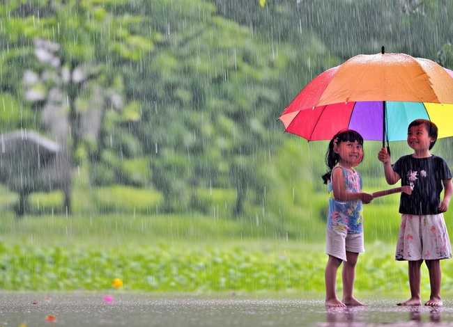伞的孩子故事书免费看，有伞的孩子和没伞的孩子的故事