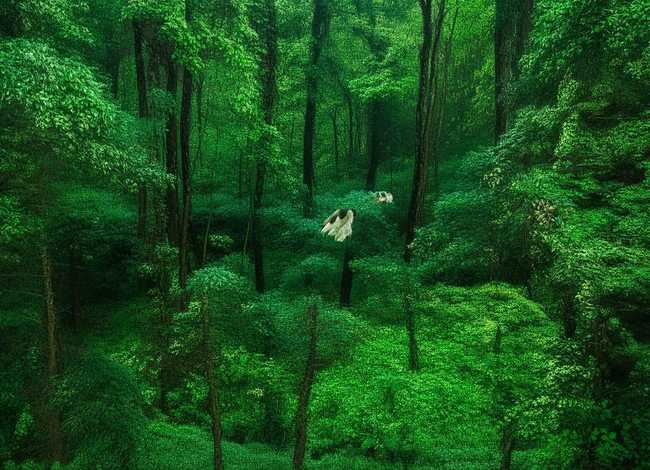 蜗牛的故事视频 蜗牛的故事视频完整版