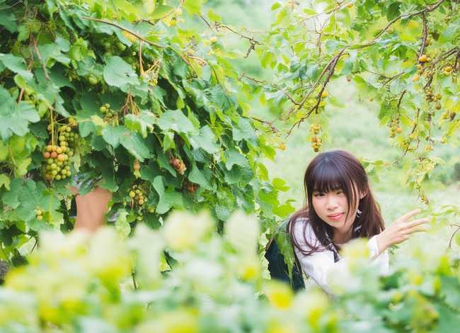 瓜田李下故事视频、瓜田李下的故事视频