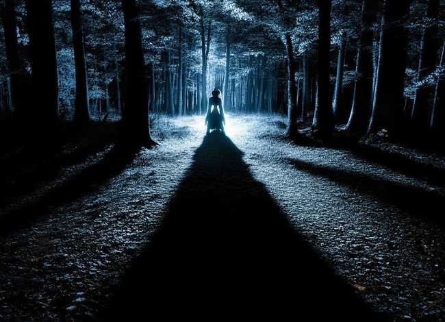 《影子的故事》，《影子的故事》原文