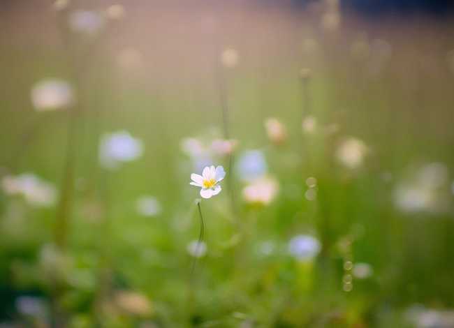 谦虚的小故事20字 谦虚的小故事20字以内