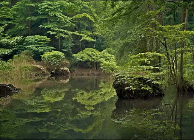 伊朗幼童事件后续走向 伊朗 儿童