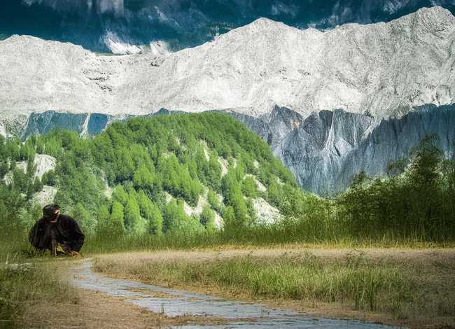儿童动物的故事100字左右（关于保护动物的经典故事100字）