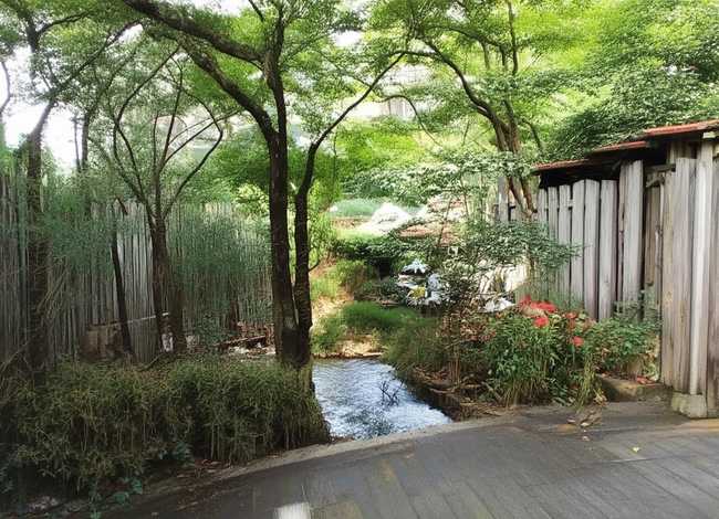 屈原儿童故事文字 - 屈原的故事简短100字左右幼儿