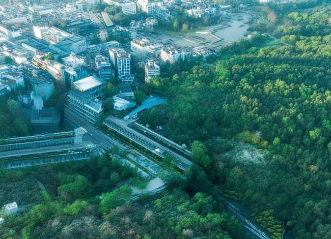 白蛇传的故事概括 - 白蛇传的故事概括50字