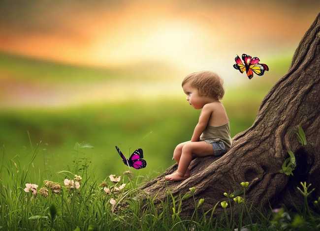 人生儿童小故事及感悟；关于人生的小故事以及感悟