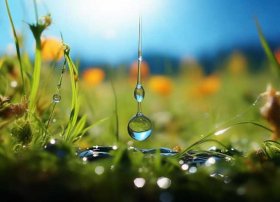 一滴水的故事、一滴水的故事500