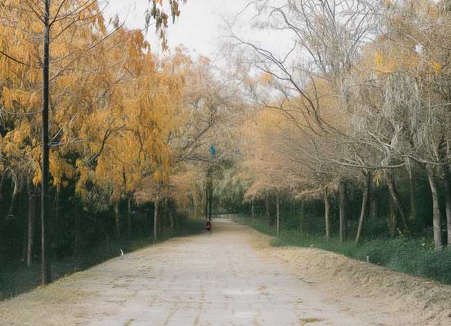 退避三舍的故事简短20字（退避三舍的故事简短20字概括）