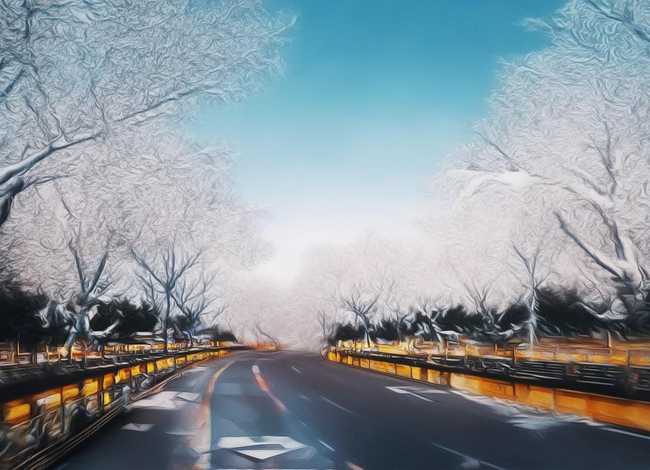 影子的故事绘本简介 - 影子的故事绘本简介50字 影子的故事绘本简介 - 影子的故事绘本简介50字