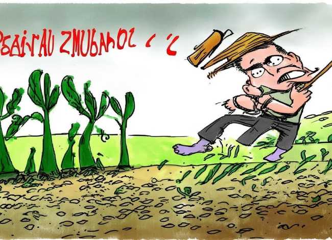 拔苗助长成语故事手抄报 拔苗助长成语故事手抄报图片