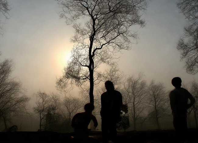 黑猫警长儿童故事原声版、黑猫警长故事儿歌 黑猫警长儿童故事原声版、黑猫警长故事儿歌