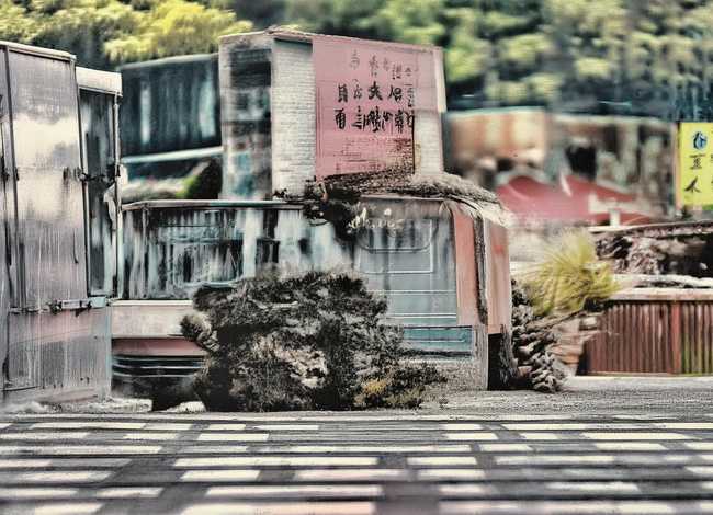 会爬树的鳄鱼世界儿童故事精品（会爬树的鳄鱼书籍）