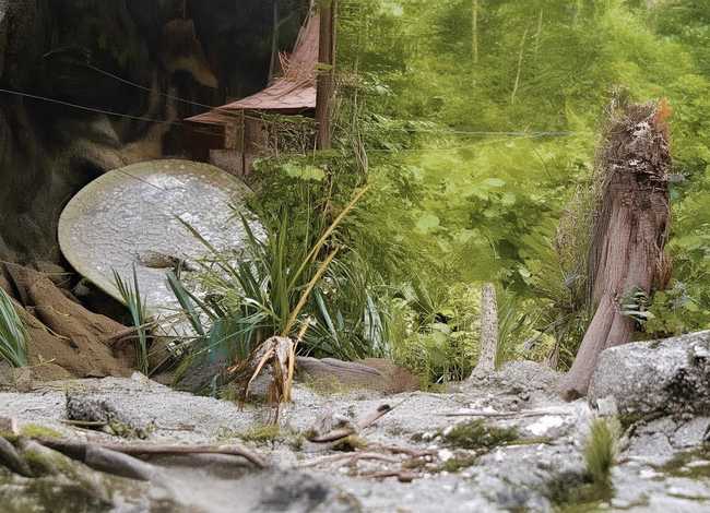 苏轼故事简短，苏轼故事简短100字左右