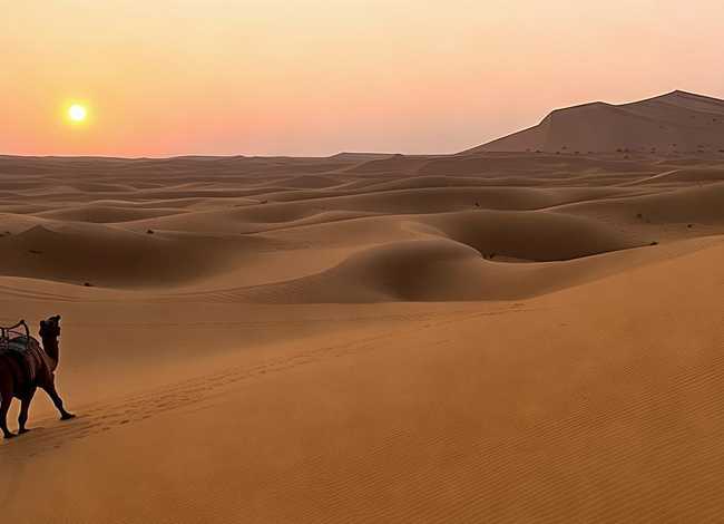 讲沙漠的故事 - 讲沙漠的故事英语