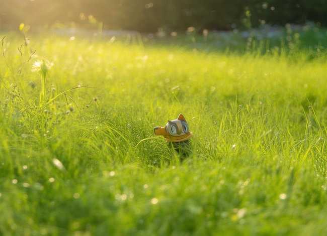 儿童故事小蜗牛的新房子、小蜗牛的新房子绘本故事视频