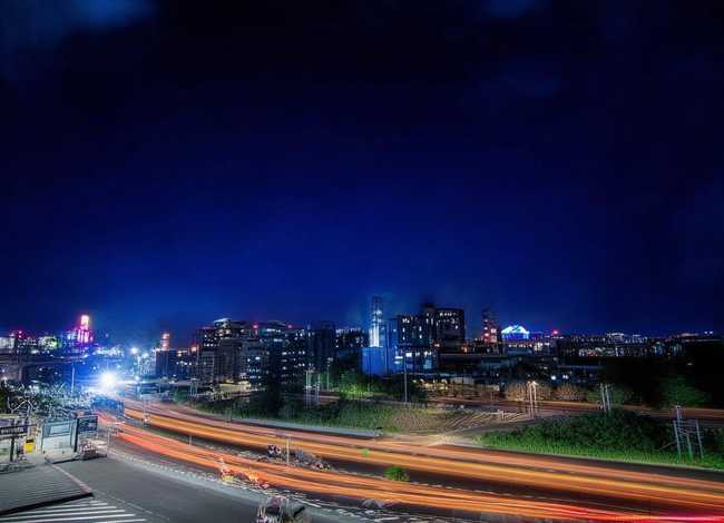 猴岛在哪里？，南湾猴岛在哪里