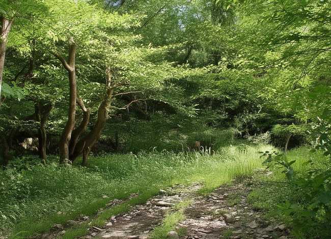 她的故事(厦门)商贸有限公司、她的故事结局