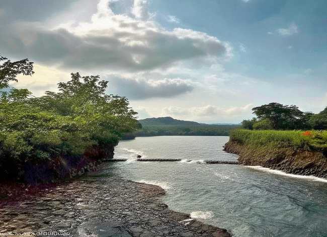 儿童学习的故事大全，儿童关于学习故事大全