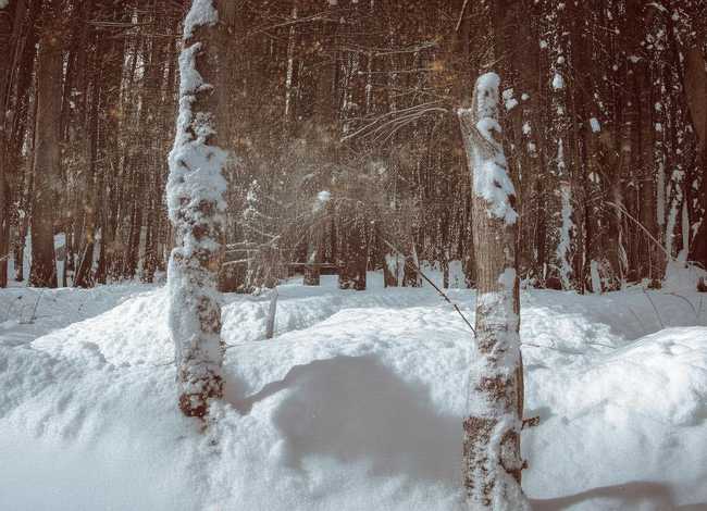 勤奋的故事四字成语 - 勤奋的典故成语故事50