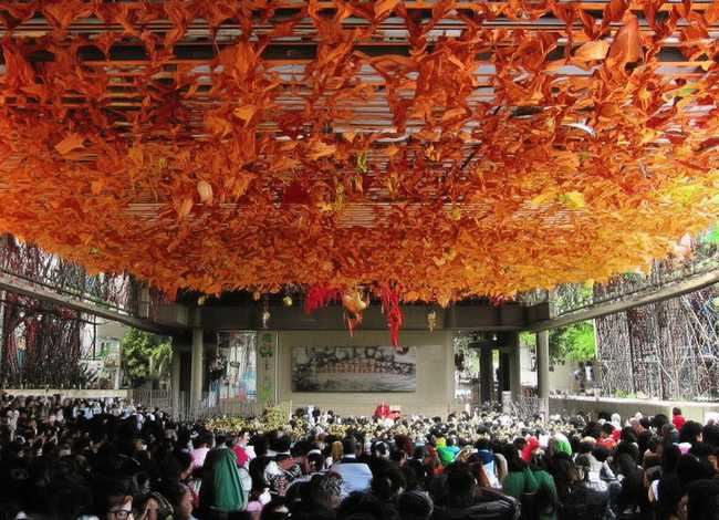 动物间的亲情故事，动物之间感人的亲情故事20字