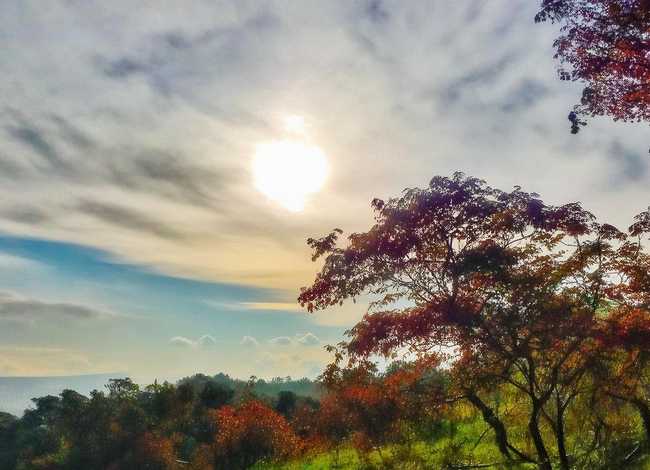 小岗村的故事20字以下小学生写 小岗村的故事20字以下小学生写作