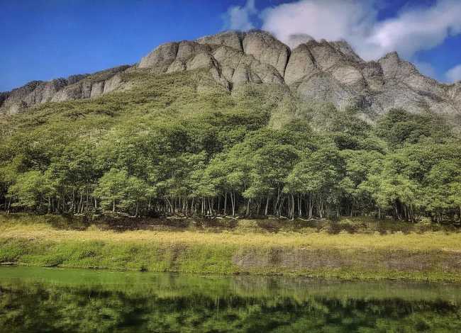 幸福家庭背后的故事100字、幸福家庭背后的故事100字作文