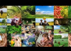 一生的故事全文阅读、一生的故事全文阅读无删减