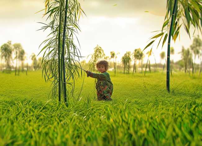 拔苗助长儿童故事在线听 - 睡前故事在线听拔苗助长 拔苗助长儿童故事在线听 - 睡前故事在线听拔苗助长