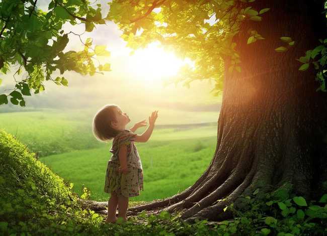 关于成长的人生故事儿童；关于成长的感人小故事