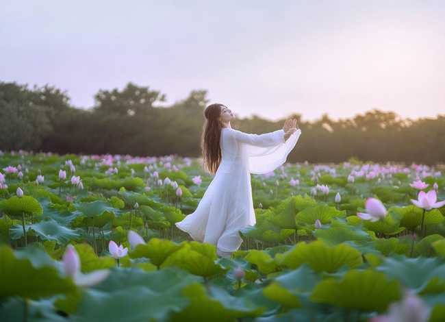 莲的故事跳舞视频 莲的心事舞蹈附教学