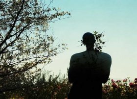 人无完人的经典句子 人无完人的经典句子摘抄