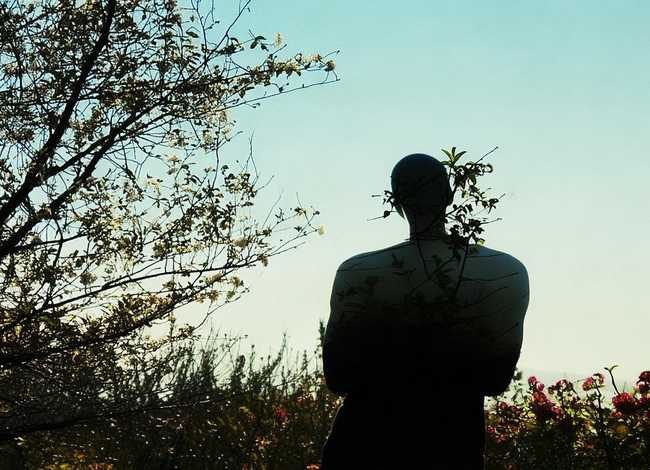 人无完人的经典句子 人无完人的经典句子摘抄