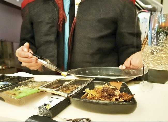 童话短故事图文拼音（童话短故事英文）