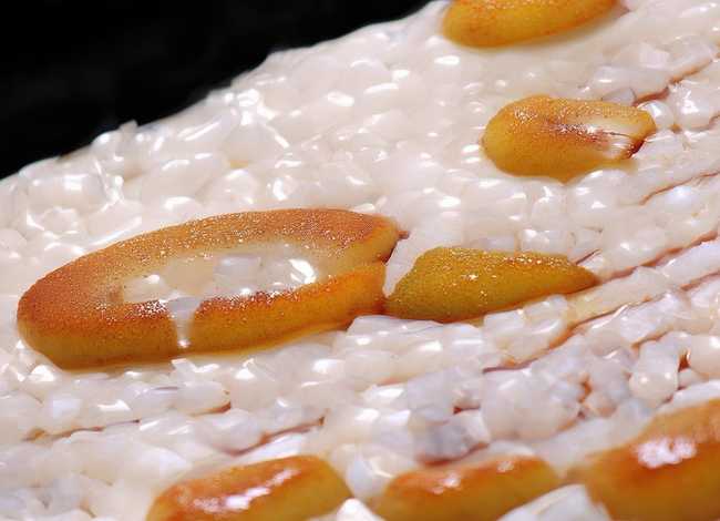 宋江的故事概括 - 宋江的故事概括30字左右