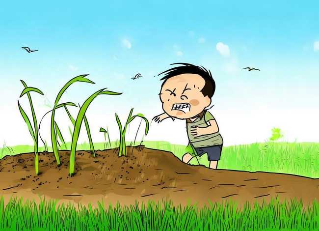 一年级成语故事拔苗助长、一年级成语故事拔苗助长读后感400字