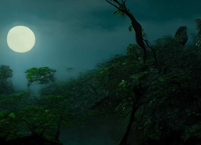 关于豹子的故事（关于豹子的故事和传说）